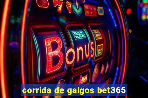 corrida de galgos bet365