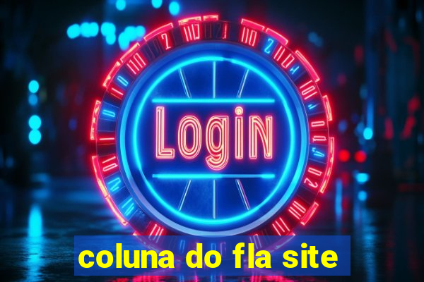 coluna do fla site