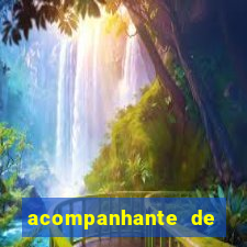 acompanhante de nova mutum