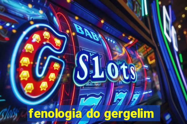 fenologia do gergelim