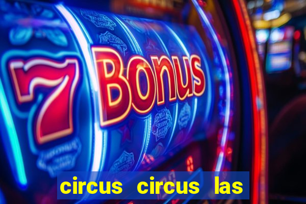 circus circus las vegas hotel and casino