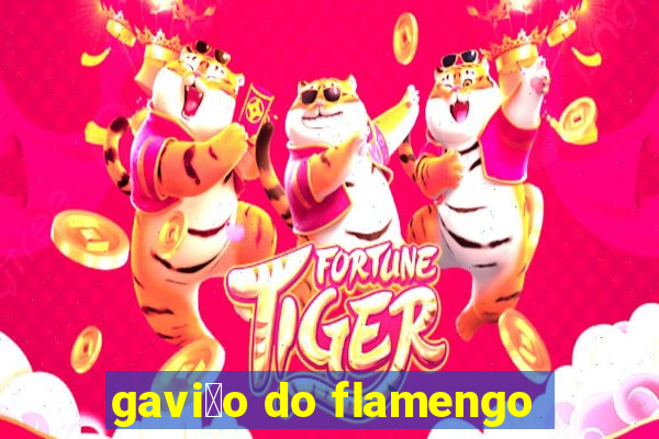 gavi茫o do flamengo