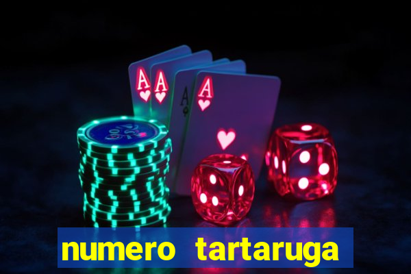 numero tartaruga jogo do bicho