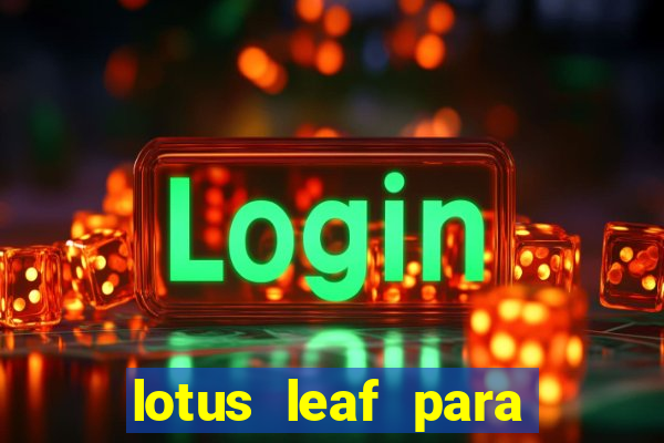 lotus leaf para que serve