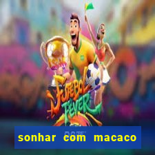 sonhar com macaco o que significa