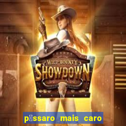 p谩ssaro mais caro do mundo