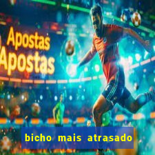 bicho mais atrasado na bahia