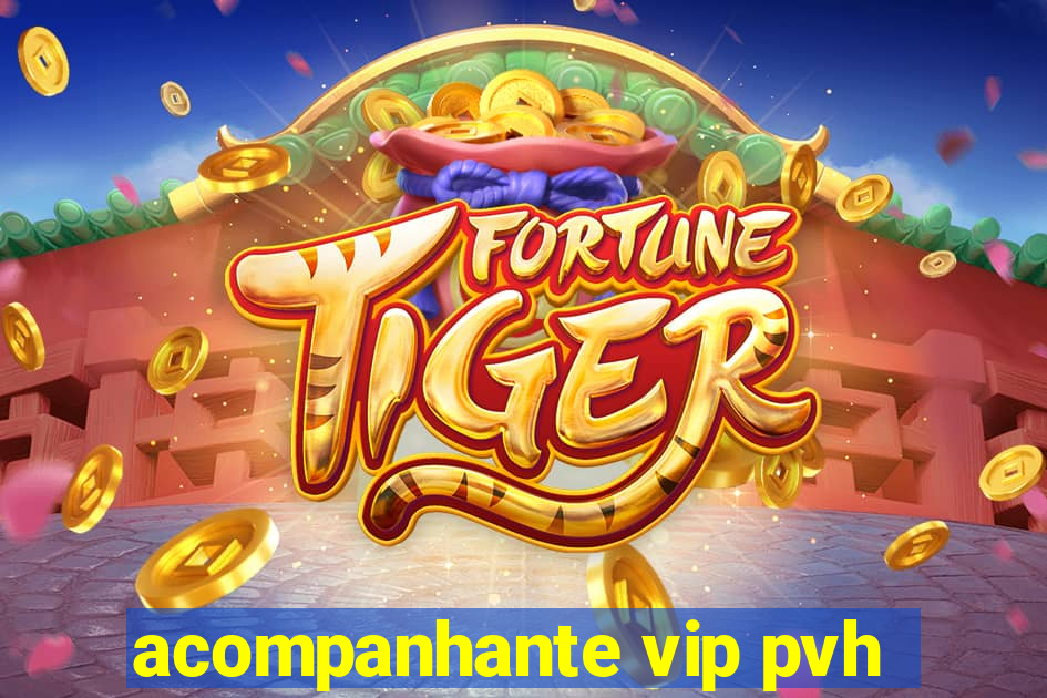 acompanhante vip pvh