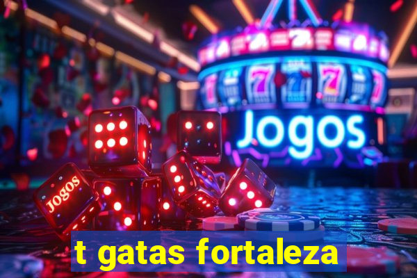 t gatas fortaleza