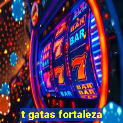 t gatas fortaleza