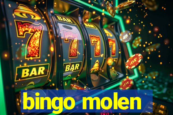 bingo molen