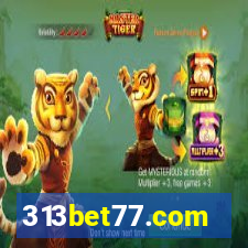 313bet77.com