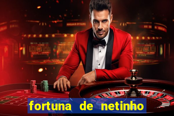 fortuna de netinho de paula