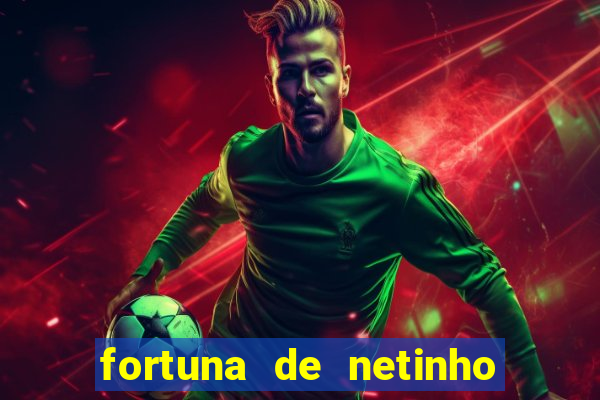 fortuna de netinho de paula