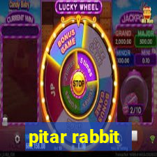 pitar rabbit