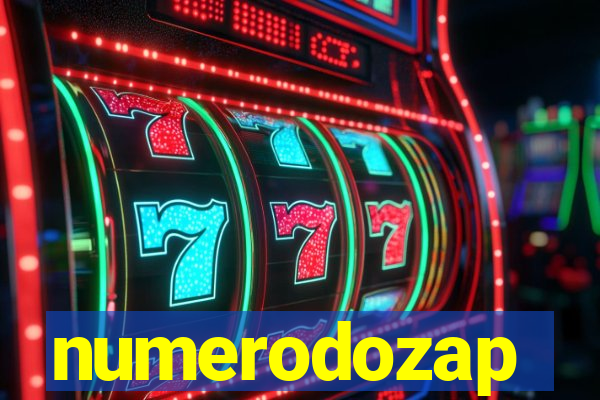 numerodozap