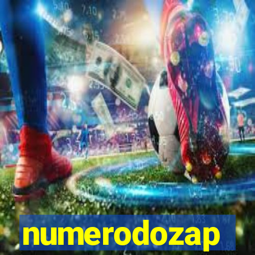 numerodozap