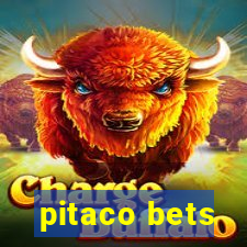 pitaco bets