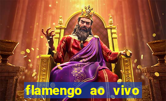 flamengo ao vivo multi tv