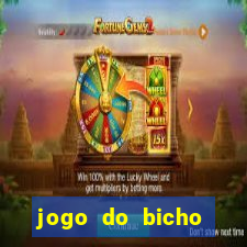 jogo do bicho online df