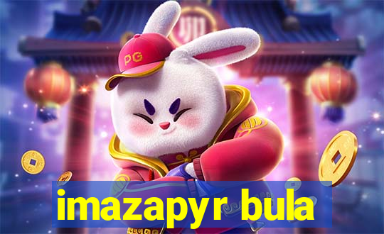 imazapyr bula