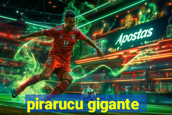 pirarucu gigante