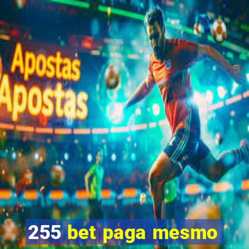 255 bet paga mesmo