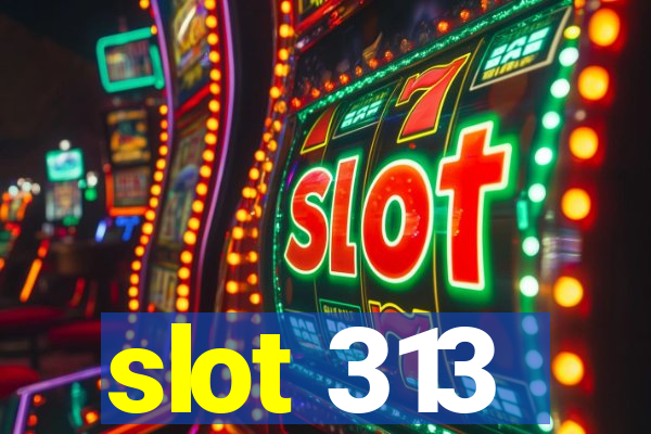 slot 313