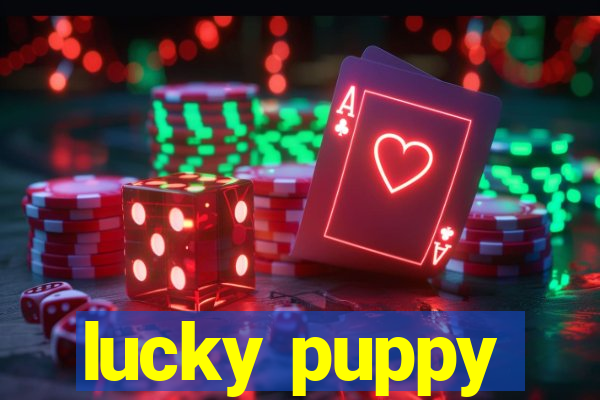 lucky puppy