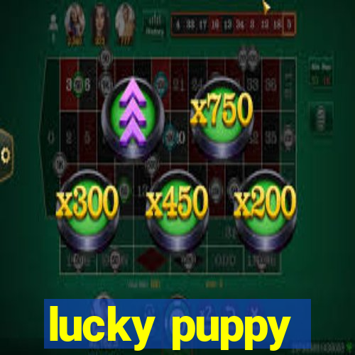 lucky puppy