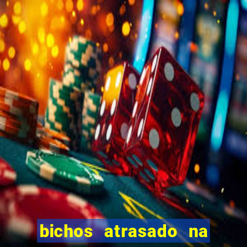 bichos atrasado na loteria dos sonhos