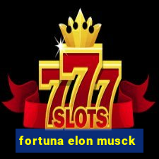 fortuna elon musck