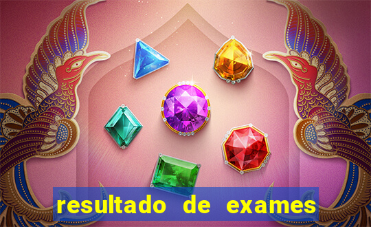 resultado de exames unimed porto alegre