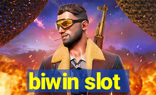 biwin slot