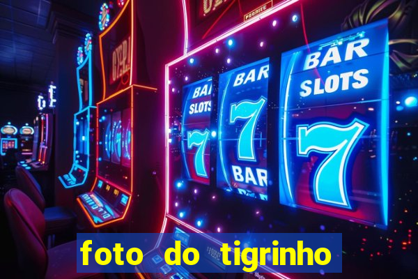 foto do tigrinho do jogo